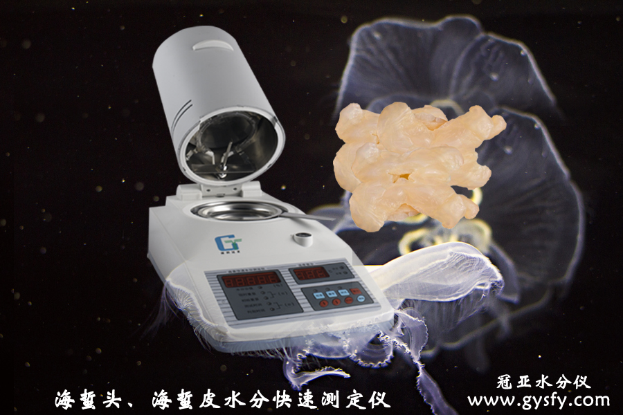 盐渍海蜇皮水分测定仪