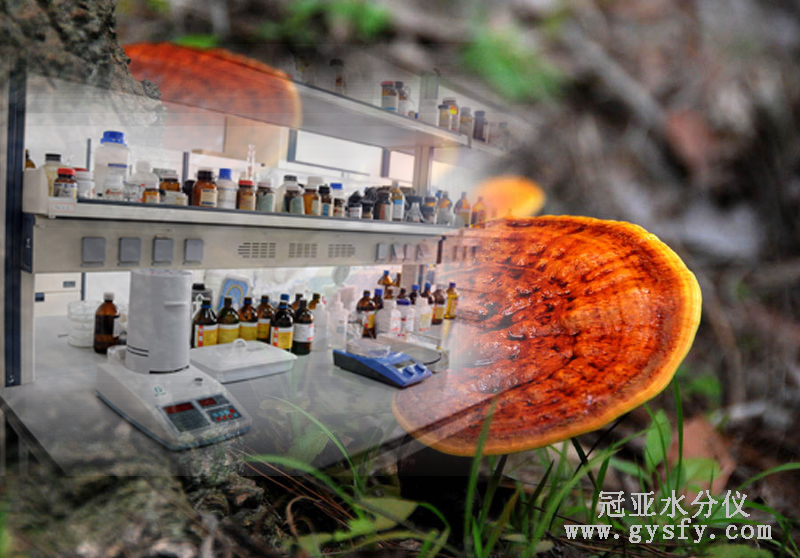 灵芝水分测量仪,中药材水分测定仪