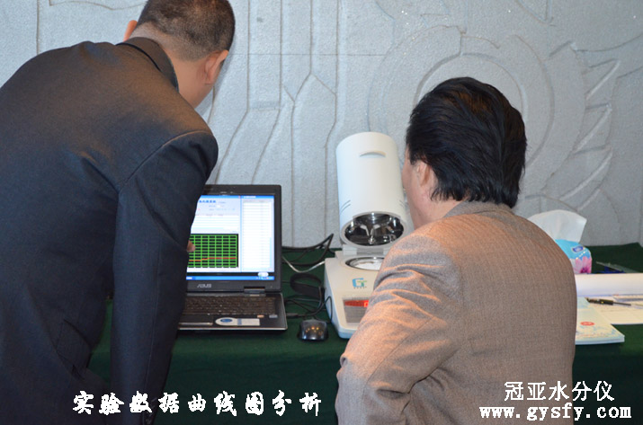 矿盐水份测定仪